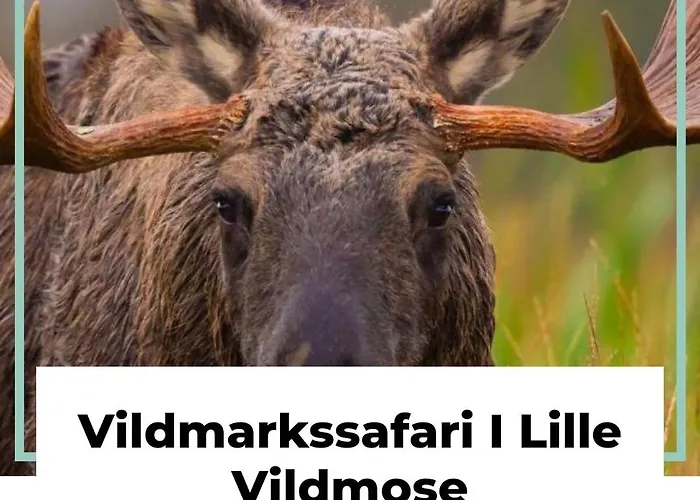 Havhuset I - I Byen, Ved Stranden * Øster Hurup